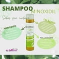 thumbnail image 3 of Shampoo Crecimiento Cabello Alopecia Anti Caída + 3 Activos (Crecimiento Capilar) Enriquecido De Gran Eficiencia Para El Crecimiento Ingredientes Naturales, Hierbas, Semillas Y Extracto de Corteza., 3 of 6