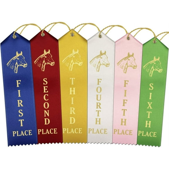 RibbonsNow Horse Show Ribbons 1st - 6th Place - 72 Total Ribbons - 12 Each Place with Card & String