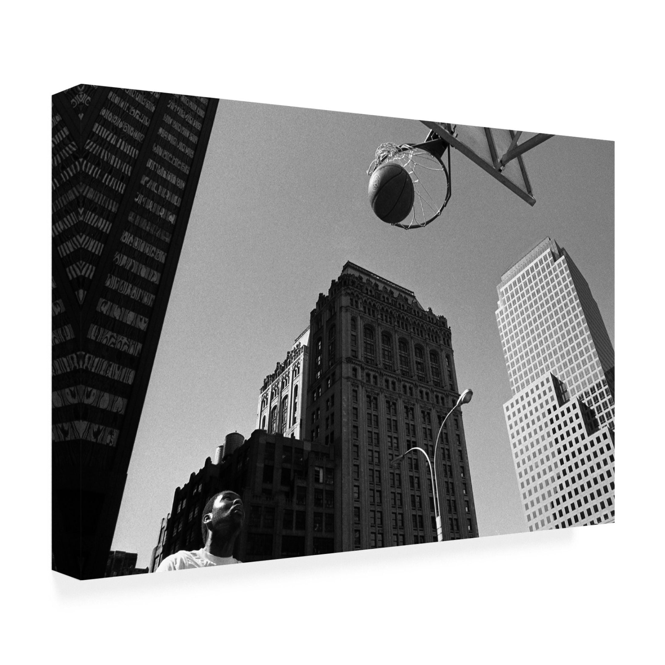 Canvas Wall Art - Dieter Matthes 'The Ball From The Series Qaloneq ' Wall Art for Living Room, Bedroom, or Office Décor by Trademark Fine Art - 47 x 30 Inches