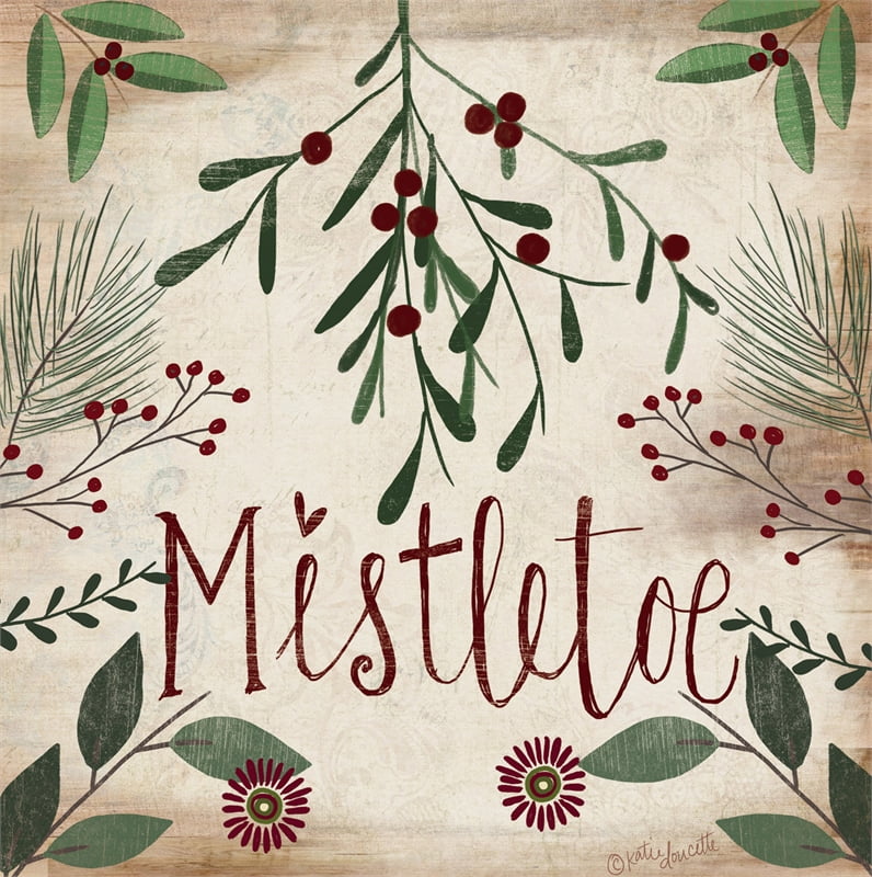 New Pioneer Woman Mistletoe Design Christmas Holiday Napkin 8 x 8 Luncheon 20 ct 