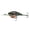 Bluegill Spawn, variant on 6th Sense – Cloud 9 Series Deep Diving Crankbait Bass Fishing Lure, Stabilized Action