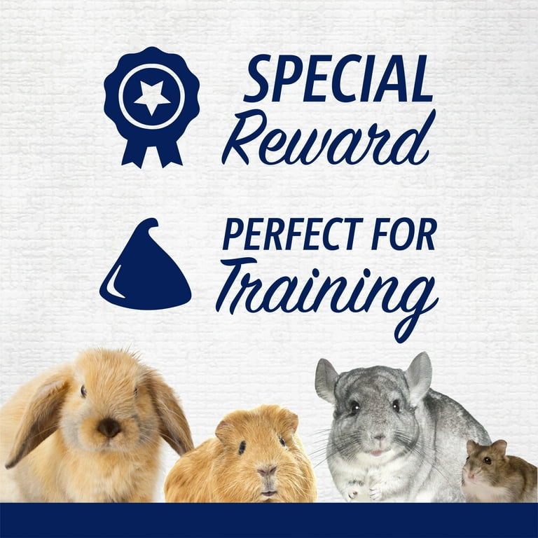 How to Reward Chinchillas During Training: Top Tips for Success