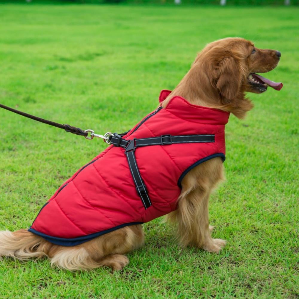 Different Types Of Dog Coats lupon.gov.ph