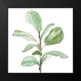 thumbnail image 2 of Loreth, Lanie 12x12 Black Modern Framed Museum Art Print Titled - Fiddle Fig Leaf Plant II, 2 of 5