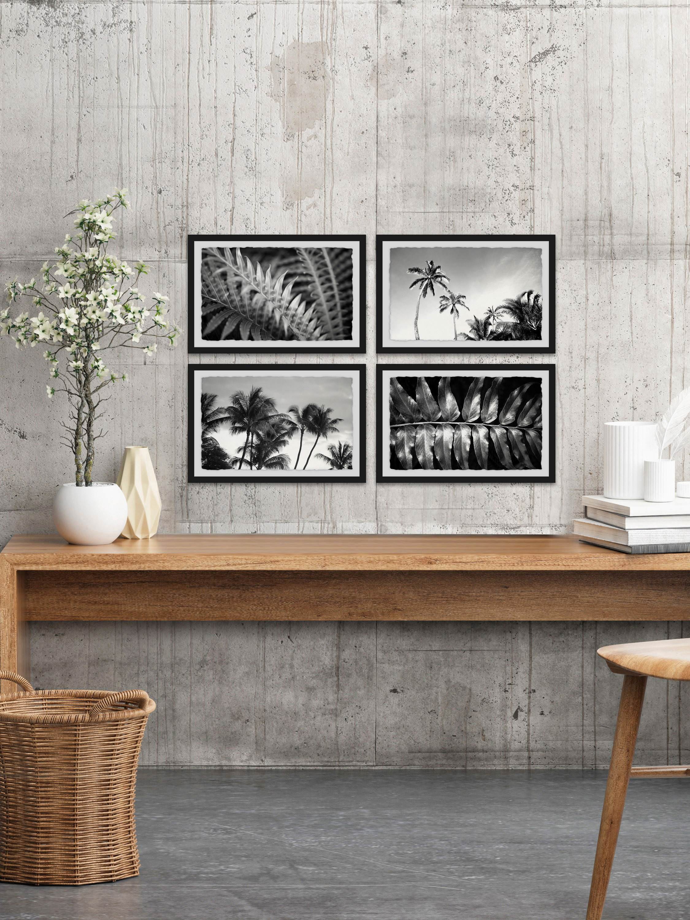 Palm Trees Quadriptych