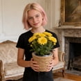 thumbnail image 5 of 8 Inch Round Handmade Natural Woven Plant Basket, Straw Woven Floor Flower Pot, Decorative Planter Container For Indoor Outdoor Green Plants For Home Living Room Office Balcony--, 5 of 8