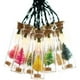 thumbnail image 1 of Luces navideñas Sienna LED, color blanco cálido, 10 quilates, cadena de 90 cm, 1 of 1