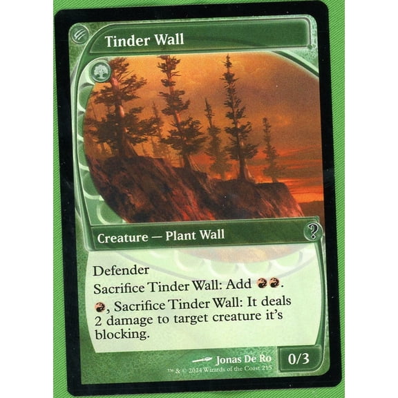 Collectible 2024 Wizards of the Coast Magic: The Gathering 215 VG