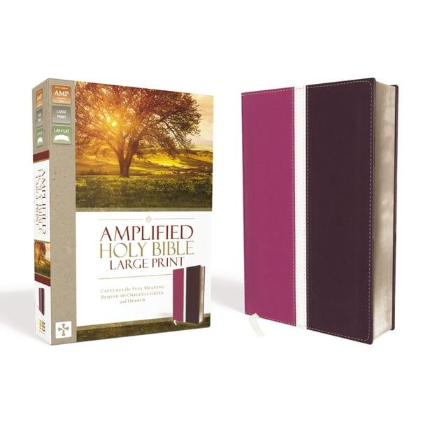 Amplified BibleAmLarge Print Captures the Full Meaning Behind the Original Greek and Hebrew