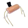 thumbnail image 2 of 1 Set Forearm Venipuncture Practice Model Venipuncture Injection Practice Model, 2 of 8