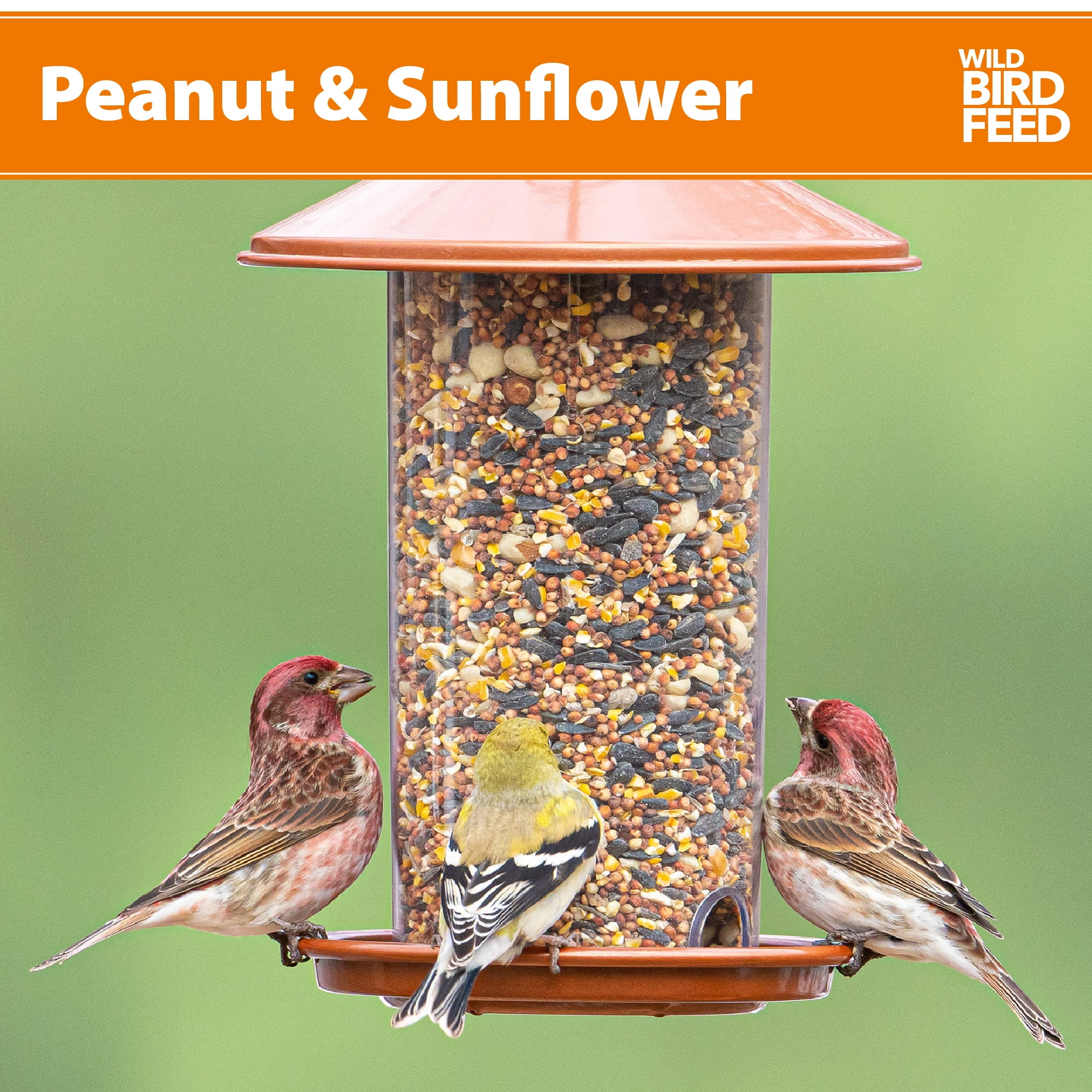 (3 pack) Peanut & Sunflower Wild Bird Feed and Seed, Dry, 1 Count per Pack, 20 lb. Bag