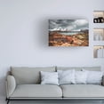 thumbnail image 3 of Philippe Sainte Laudy 'Troubling Atmosphere' Canvas Art, 3 of 3