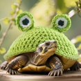 thumbnail image 4 of lingqin Sweater for Turtle Christmas Photo Take Accessory Warm Soft Tortoise Apparel S S, 4 of 9