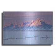 Luxe Metal Art Let there be Light - Grand Teton National Park by Darren White, Metal Wall Art, 16x12