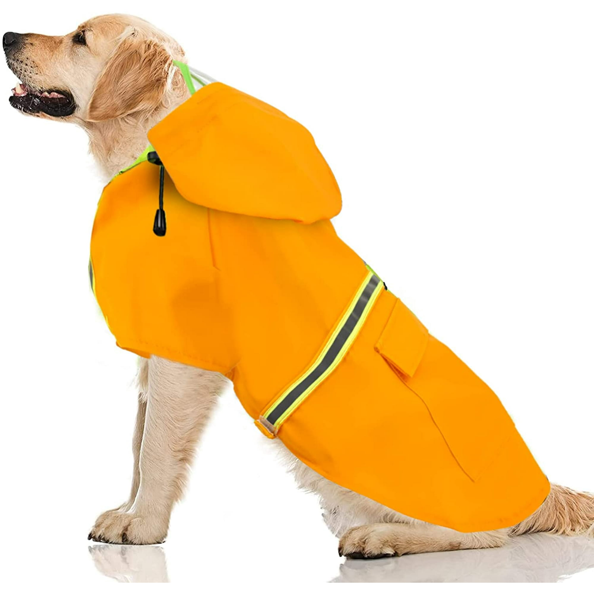 How To Keep Dog Clean In The Rain