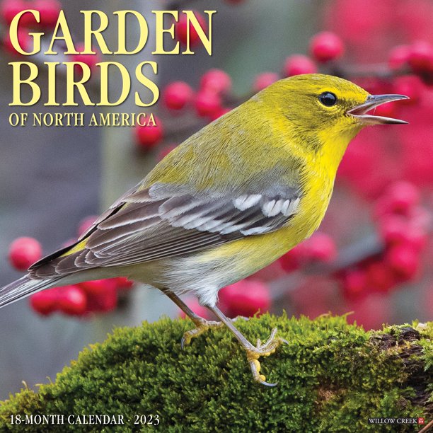 Garden Birds 2023 Wall Calendar