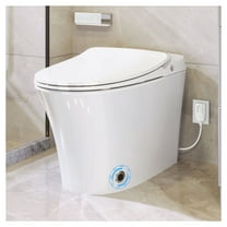 Luxury Smart Toilet with Dryer and warm water,  Elongated Bidet Toilet with Heated Seat, with Remote Control, LED Night Light, Power Outage Flushing, Soft Close Cover,Whit