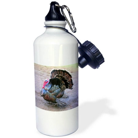 

3dRose Wild Turkey Sports Water Bottle 21oz