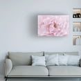 thumbnail image 2 of Trademark Fine Art 'Rose Pink Rose' Canvas Art by Cora Niele, 2 of 4