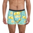 thumbnail image 1 of Fotbe Yellow Lemon Calzoncillos Tipo Boxer con Bolsa de Soporte Total para Hombre, X-Temp Fresco, Transpirable y de Secado Rápido-Medium, 1 of 5
