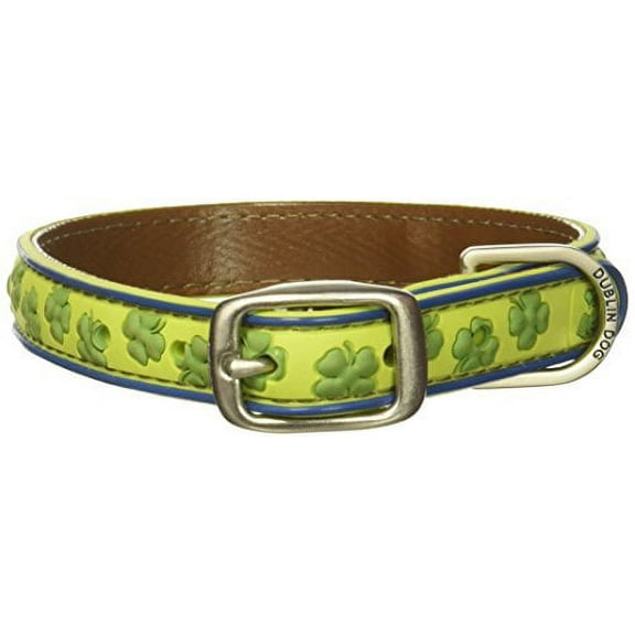 Dublin Dog Gaelic Grunge Waterproof Collar, Small