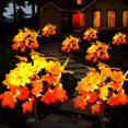 thumbnail image 1 of Luces solares de otoño Alupal, paquete de 2 unidades, 40 LED, impermeables para exteriores, 1 of 7