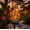 Dragon, variant on Clearance Cardinal Solar Gard Light—Metal Stake Yard Garden Decor Art Figurine Waterproof LED Lights Gifts for Mom Grandma Women for Patio Lawn Porch