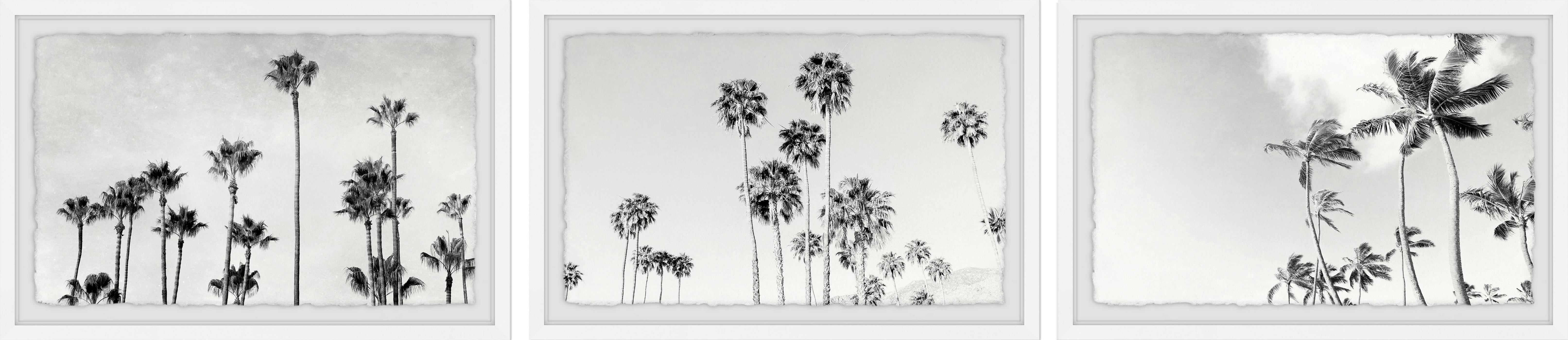 Paradise Triptych
