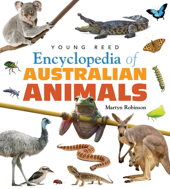 Encyclopedia of Australian Animals (Paperback) 