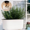 thumbnail image 2 of Rectangular Flowerpot Absorbing Water Vegetable Pots Plant Gardening Basin Garden Balcony Growing Installation Blue, 2 of 9