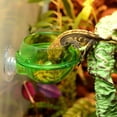 thumbnail image 5 of Paquete de 2 comederos para reptiles, ventosa, cuenco de agua para reptiles, accesorios para reptiles, comedero con labios para reptiles, lagarto translúcido, camaleón, iguana JM, 5 of 5