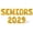 Gold, variant on Letter Balloons - SENIORS 2029 16" Inch Alphabet Letters Foil Mylar Balloon Senior Year Party Banner (Gold)