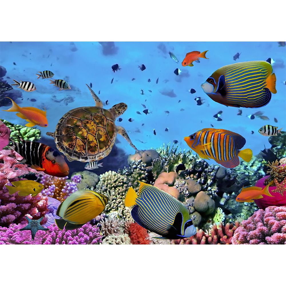 Coral Reef - 3 3D Magnet for Refrigerator, Whiteboard, Locker
