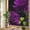 Purple, variant on Purple Rose Window Privacy Film Rainbow Static Cling Stain Glass Window Film for Glass Door, Decorative Sunroof Decal Sticker for Car Bathroom 17.7"x39.3" Vintage Abstract Garden Flower Floral Black