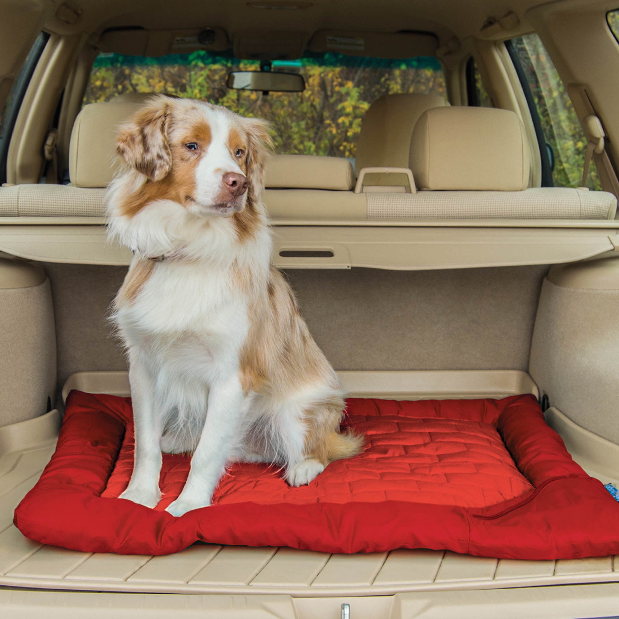 Kurgo Waterproof Dog Bed, Outdoor Bed for Dogs, Portable Bed Roll for Pets, Travel, Hiking, Camping, Wander Loft Dog Bed, Chili Red, Large