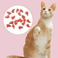 thumbnail image 2 of 20 Pcs Embouts d'Ongles pour Chat, Protecteurs, Embouts Souples pour Pattes de Chaton, Couvre-Griffes de Chat avec Colle, 2 of 10