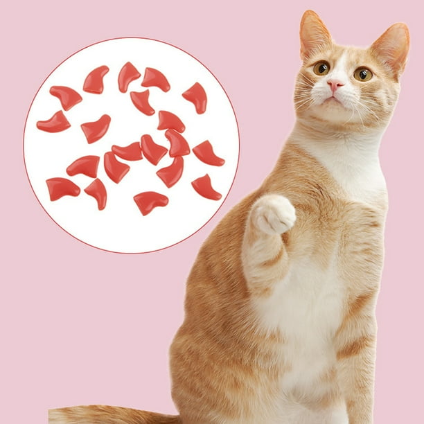 20PCS Cat Nail Caps Protective Soft Kitten Paw Caps Cat Claw Covers with Glue