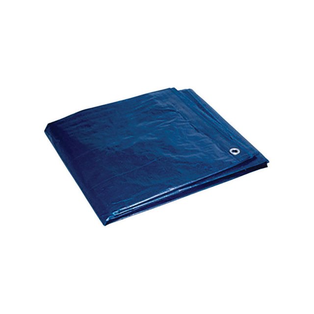 Tarp Foremost, polietileno de alta resistencia, 10 x 12 pies, azul