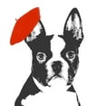 thumbnail image 2 of SD Graphics Studio 20x20 Gold Ornate Wood Framed with Double Matting Museum Art Print Titled - Red Beret Dog, 2 of 4