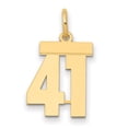 thumbnail image 3 of 14k Yellow Gold Small Polished Number 41 Charm Pendant, 3 of 3