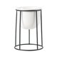 thumbnail image 2 of Macetas suculentas, macetas pequeñas de plantas suculentas blancas de 3,6 pulgadas con soporte de Metal, ideales para la decoración del escritorio de Soporte negro shamjiam macetas suculentas, 2 of 8