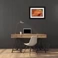 thumbnail image 3 of Rotenberg, Nancy 32x23 Black Ornate Wood Framed with Double Matting Museum Art Print Titled - USA, Pennsylvania Maple leaf in autumn color, 3 of 4