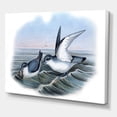 thumbnail image 3 of Designart ' Ancient Bird Life X ' Traditional Canvas Wall Art Print, 3 of 4