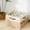 Brown-Large-1 Pack, variant on Shoe Organizer Box for Closet, Small Fabric Shoe Storage Bin with Adjustable Dividers & Clear Cover, Saving Space Sneakers