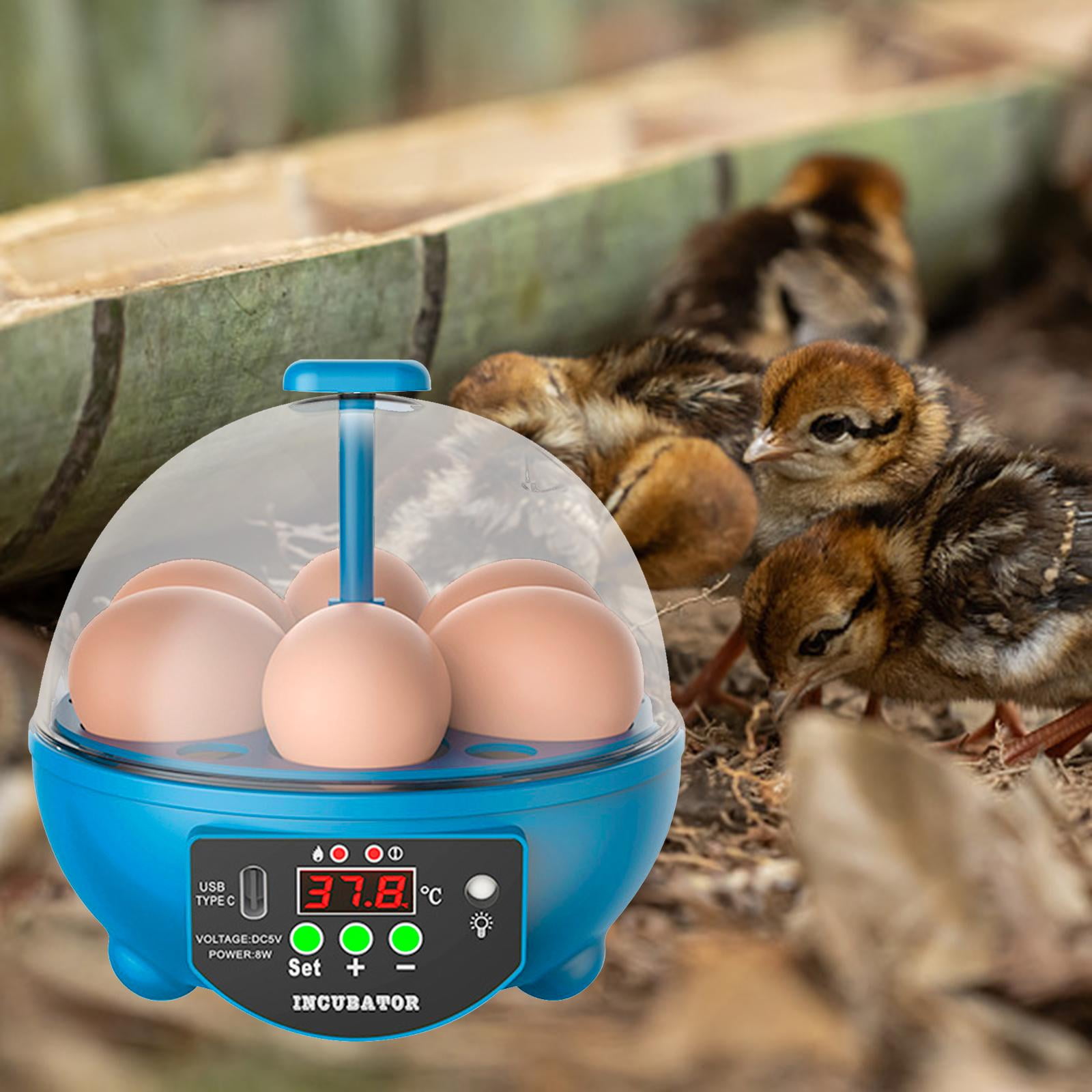 6 Eggs Incubator Chick Incubator Hatching Eggs Manual Egg Turner Temperature Control Small Egg