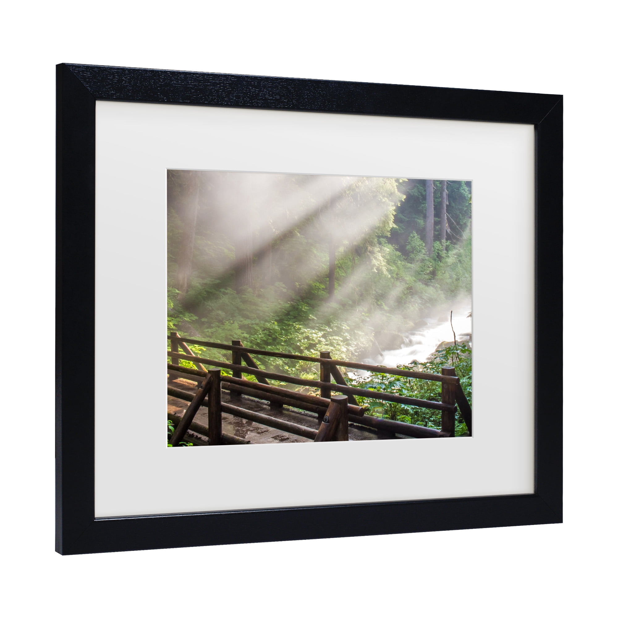 Trademark Fine Art 'Forest Sunlight' Canvas Art by Pierre Leclerc