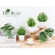 thumbnail image 4 of Paquete de 6 plantas artificiales en macetas para decoración del hogar y la oficina, 4 of 6