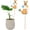 D, variant on decorative plant stakes,small metal watering can,Watering Can Design Porch Decor - Outdoor Landscape Stakes | for Spring Outdoor Garden Yard Patio Porch Lawn Flower Bed(A)