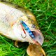 thumbnail image 4 of 5 unids Pesca Jigging Plomo Pescado Casting Jig Baits Luminoso señuelo Aparejos de pesca Hugtrwg Para estrenar, 4 of 9