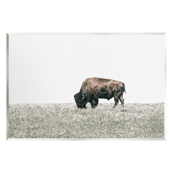 Stupell Industries Buffalo Grazing Pasture Animals & Insects Photography Unframed Art Print Wall Art, 15 x 10